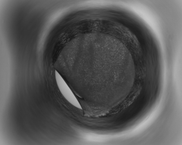 X0000095950766200802081257