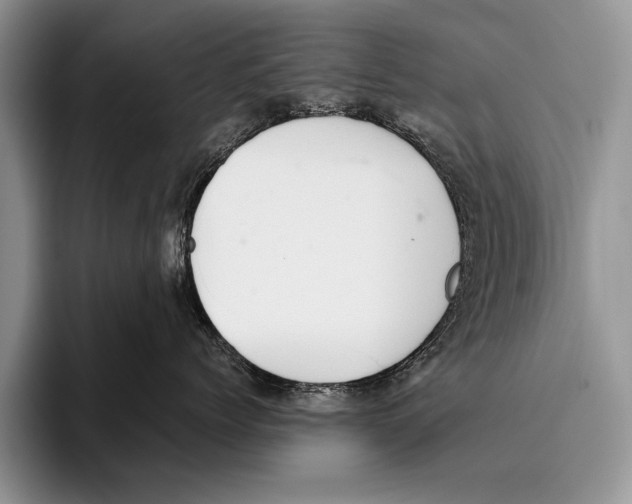 X0000095950768200802081257