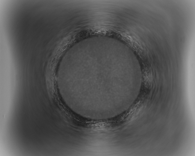 X0000095950769200802081256