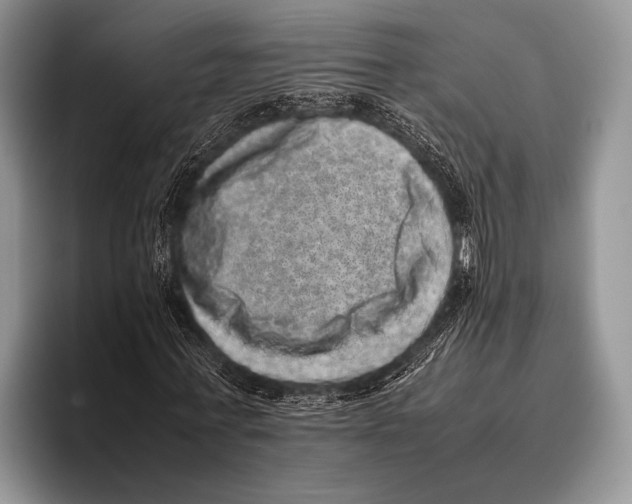 X0000095950771200802081256