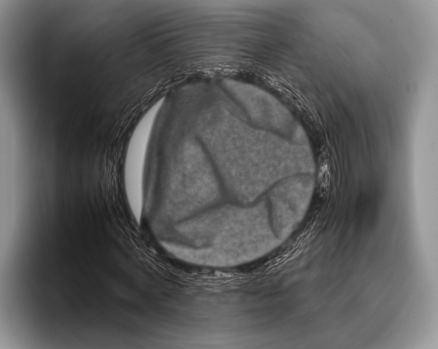 X0000095950772200802081256