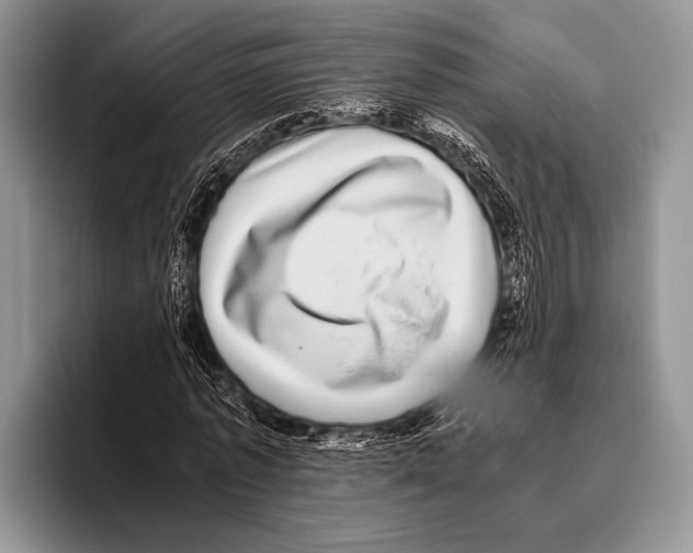 X0000095950773200802081256