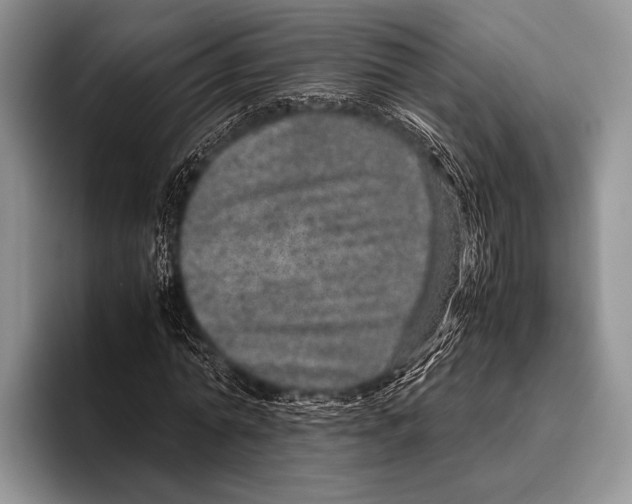 X0000095950774200802081256