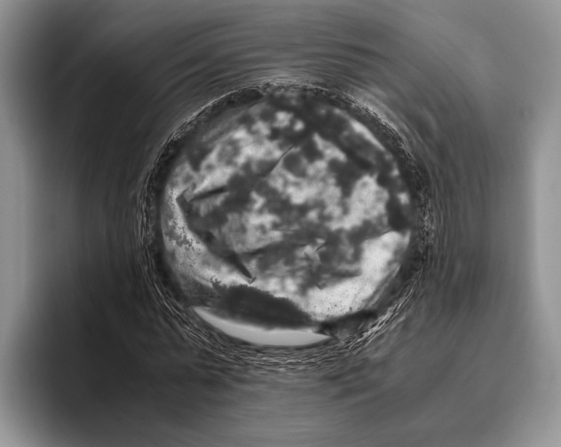 X0000095950775200802081256