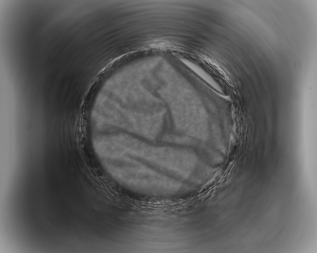 X0000095950776200802081256