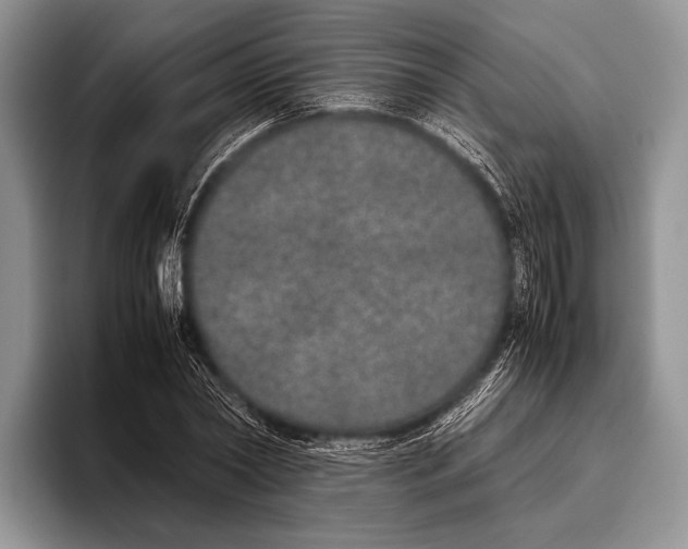 X0000095950782200802081256