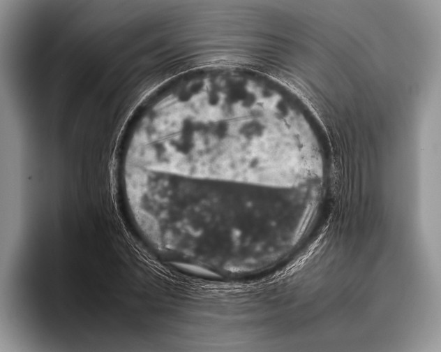 X0000095950783200802081256