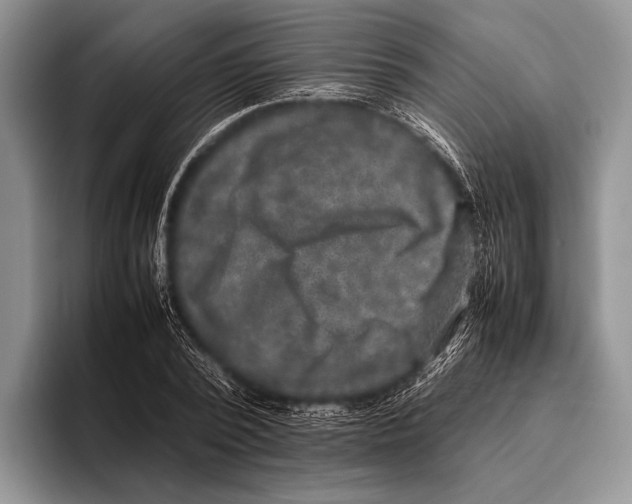 X0000095950784200802081256