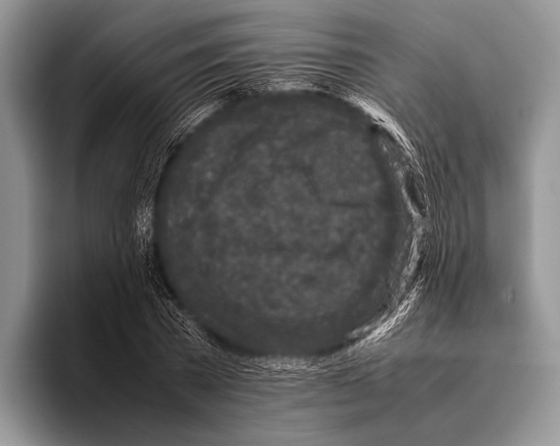 X0000095950785200802081256