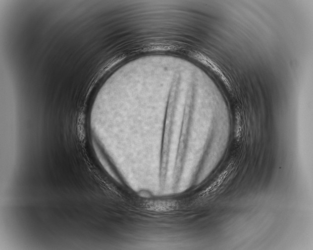 X0000095950786200802081256