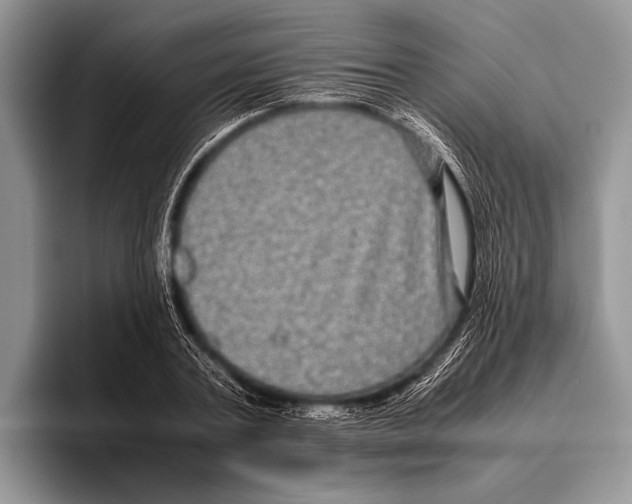 X0000095950787200802081256