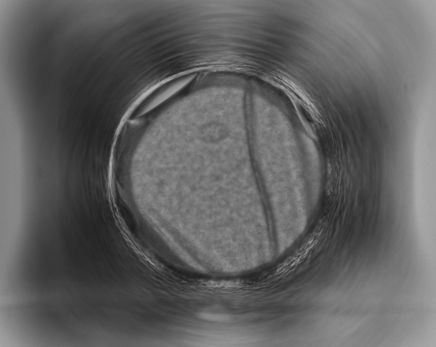 X0000095950788200802081256