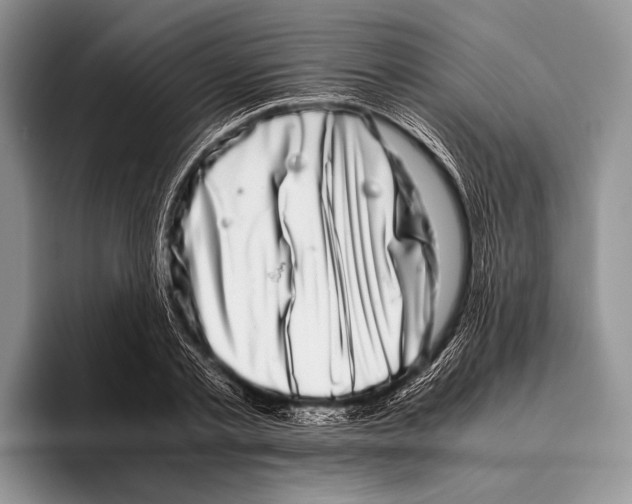 X0000095950789200802081256