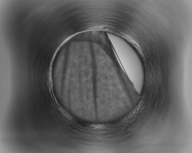 X0000095950792200802081256