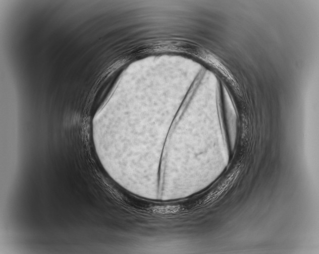 X0000095950793200802081256