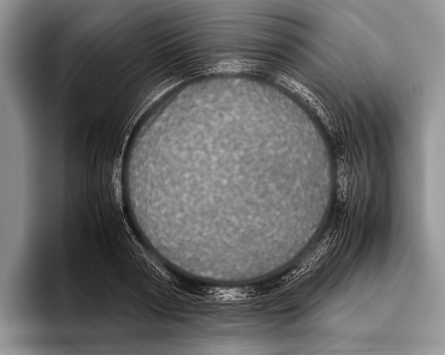 X0000095950794200802081256