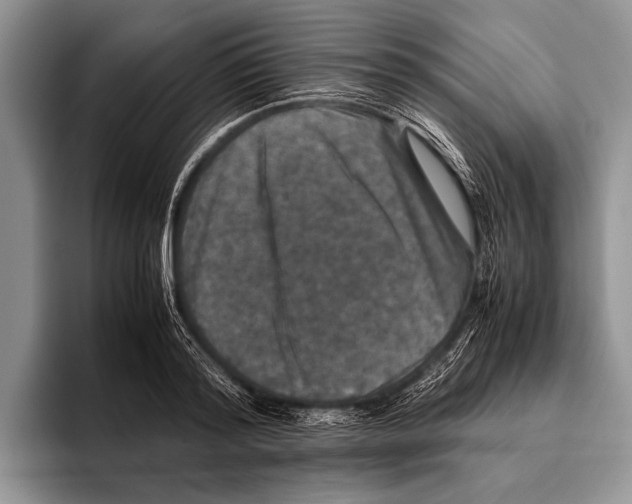 X0000095950796200802081256