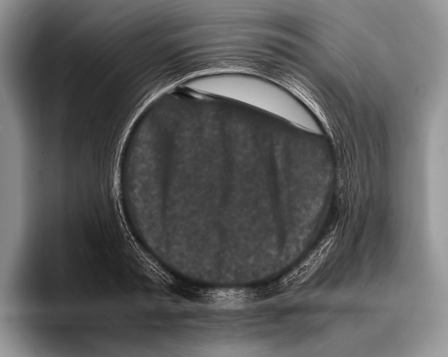 X0000095950797200802081256