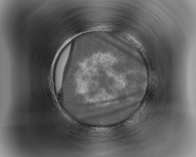 X0000095950800200802081256