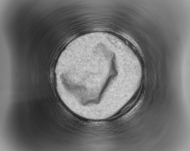 X0000095950801200802081256