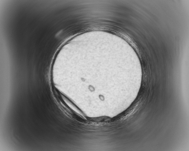 X0000095950803200802081256