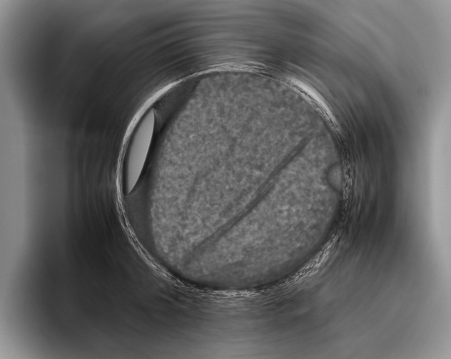 X0000095950804200802081256