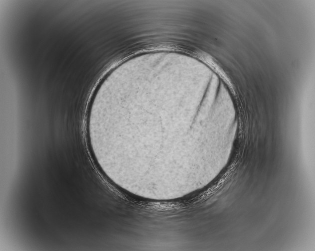 X0000095950805200802081256