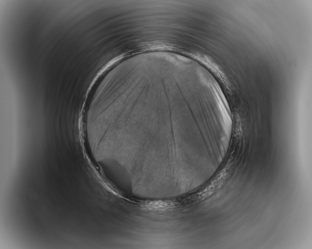 X0000095950806200802081256