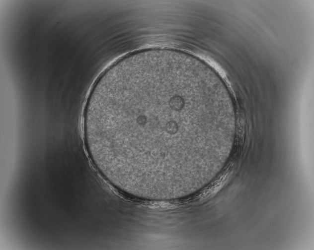 X0000095950807200802081256