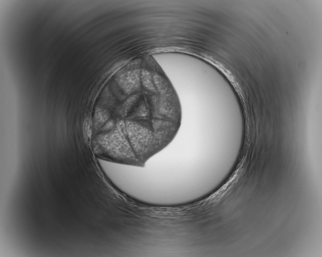 X0000095950809200802081256