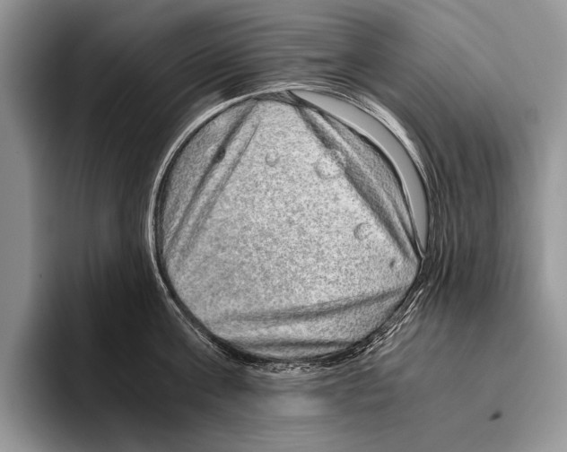 X0000095950811200802081256