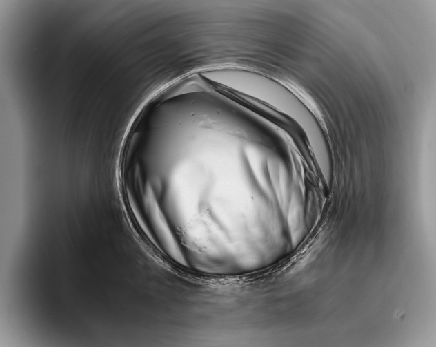 X0000095950813200802081256