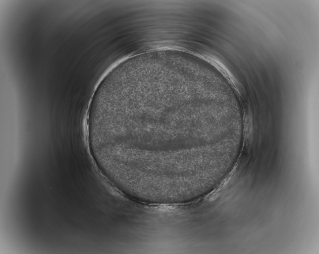 X0000095950814200802081256