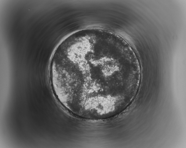 X0000095950816200802081256