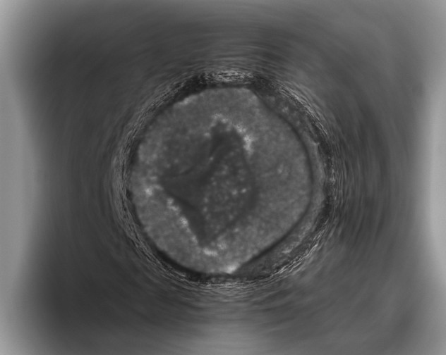 X0000095950817200802081255