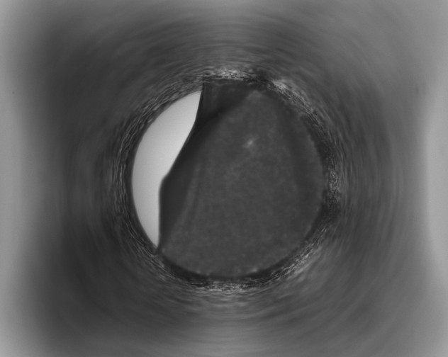 X0000095950818200802081255