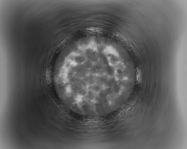 X0000095950819200802081255