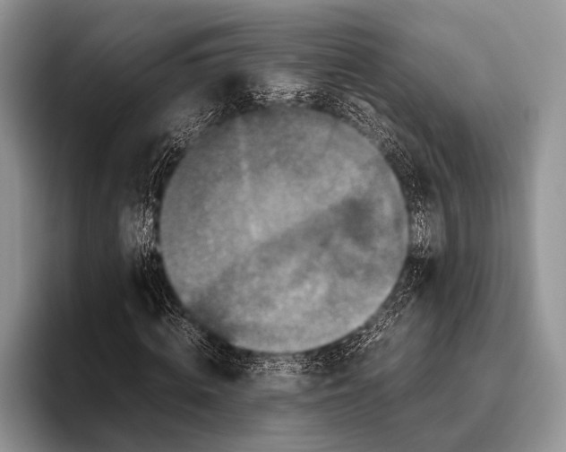 X0000095950820200802081255