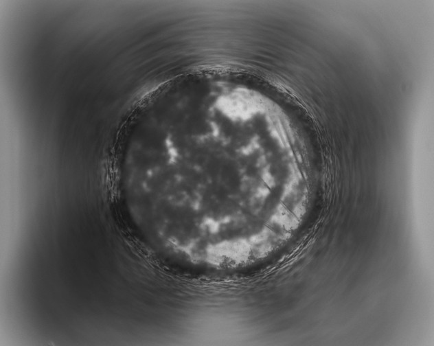 X0000095950822200802081255