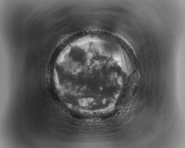 X0000095950823200802081255