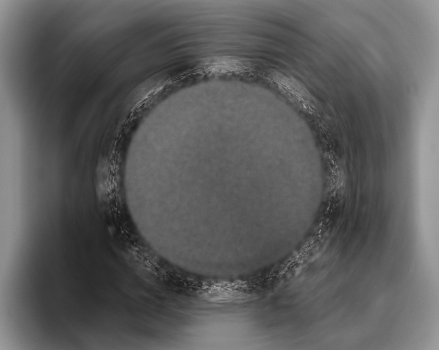 X0000095950824200802081255