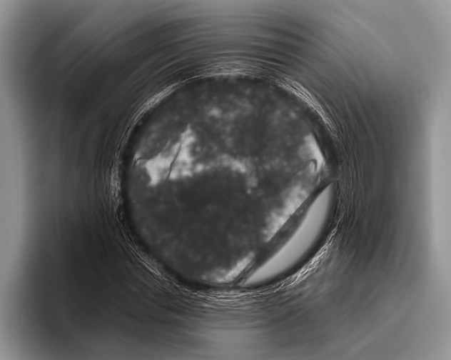 X0000095950826200802081255