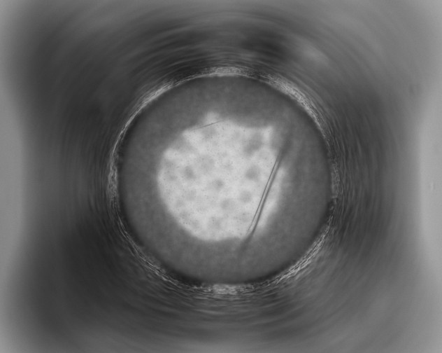 X0000095950827200802081255