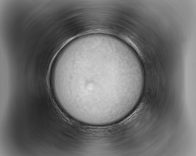 X0000095950828200802081255