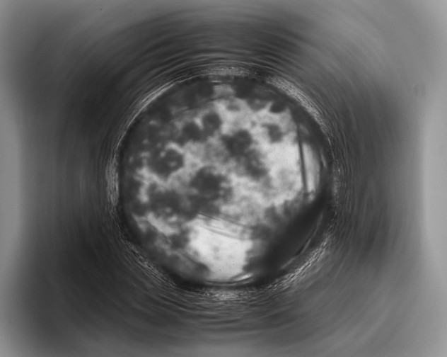 X0000095950829200802081255