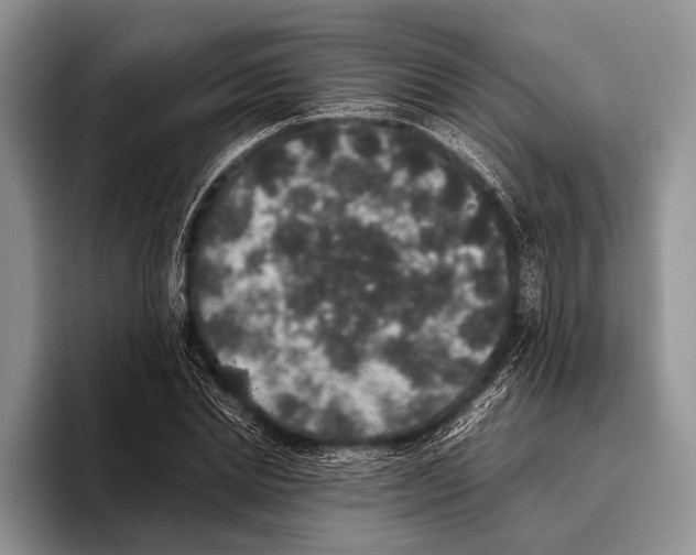 X0000095950830200802081255