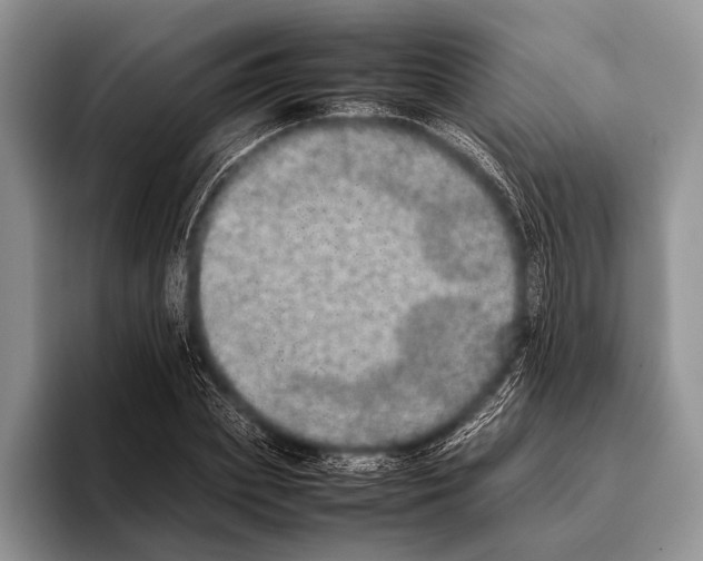 X0000095950831200802081255