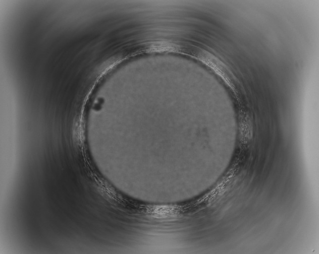 X0000095950832200802081255