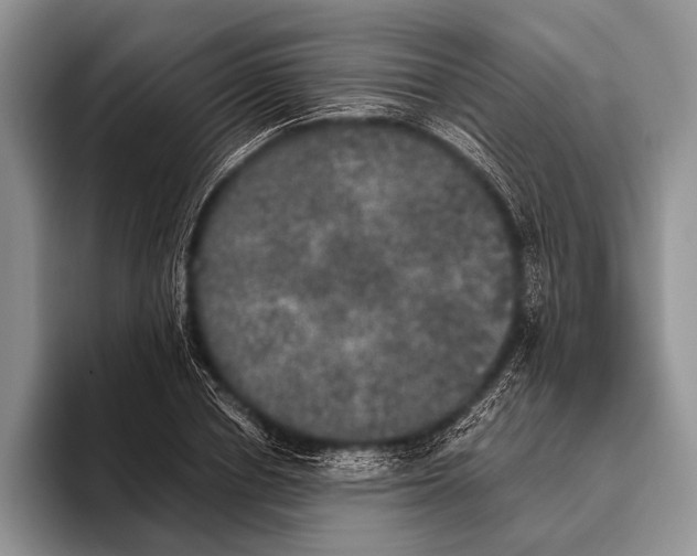 X0000095950834200802081255