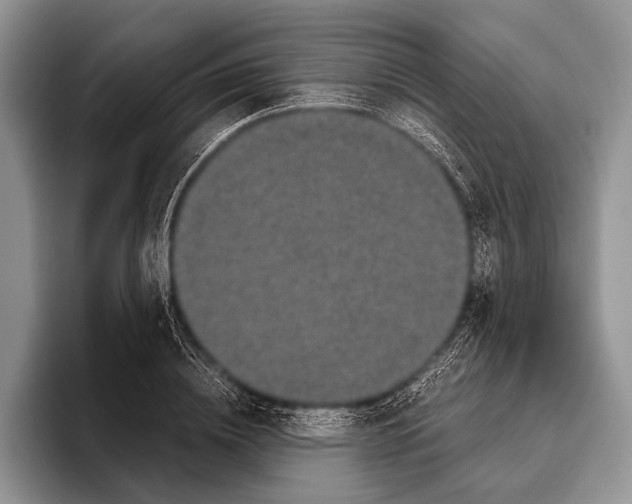 X0000095950836200802081255